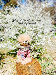 �߂�ߊJ���Ȃ��ˁH