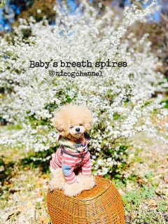 �����҂��Ƃ���[