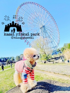 �����̂͂���