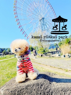 �̂���ϗ��ԂƂ͂悭�B��܂�