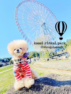 �E�F���f�B�˂˂�nem-nem������[