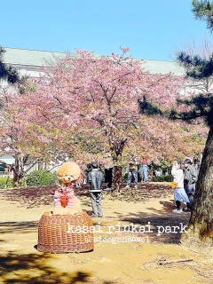 ���̕ӂ��͒Í��ł����c