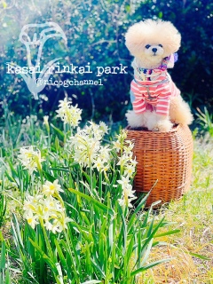 ����ō����Ă܂��H