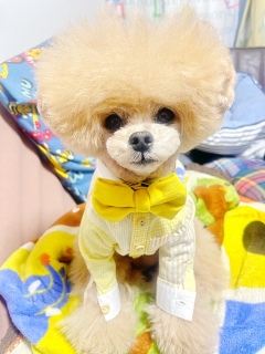 �������