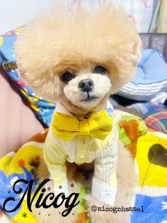 �����ĉ������B�����Ⴄ���ǂˁ[