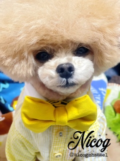 �z���g�̓}�}�ɕt�������Ă銴�����Č��Ȃ񂾂�ȁc