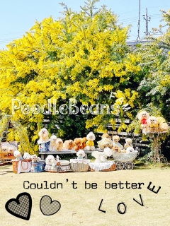 �~���U�̂�����V���[�S�[��