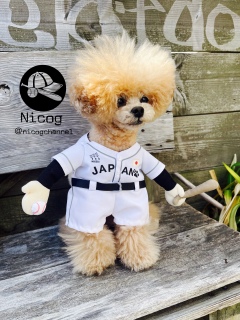 10�������J�n