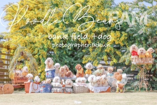 �~���U��V���[�S�[��������̎ʐ^�ł�