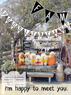 ���ǂ�����ł�����