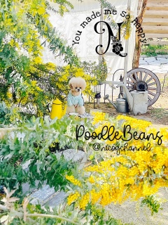 �j�R�����撣���Ă��ꂽ��[