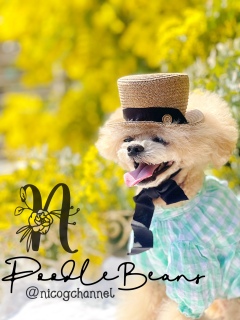 �����Ƃ��̊�Ȃ�ł��c