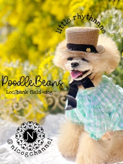 �X�q���D���߂��ĉ摜�������܂�