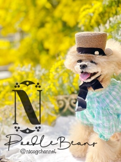 �����Ɠ����炵�Ă��₯�ǂ�