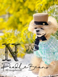 �������Ă͂����H