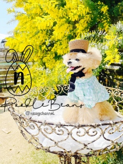 ���{���ɕt���Ă�u�����h��������Ăė~�����̂ł��̊p�x�͐����Ȃ�ł�