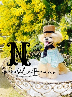 �y�������Ȃ�ŗǂ�����Ȃ��[���H