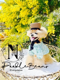 ���͔����ǂ����ȁH