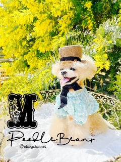 ����Ō��ԃ��{�����܂��ō��I