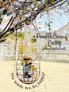 ��D���ȂƂ��Łc