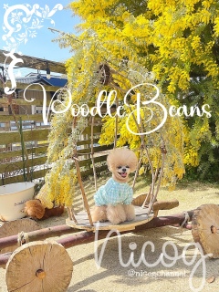 �~���U�n��