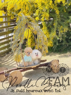 ���������܁[���I