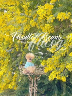 �z���g�f���炵���~���U�ł����[