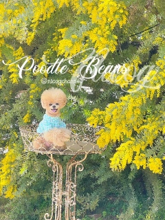 �j�R�W���j�R�j�R����