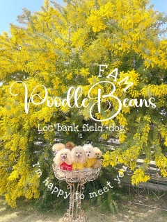 �M���b�M���b