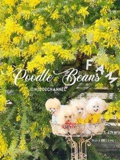 �����������ĂȂ��Ă��{�c�ɏo���Ȃ��āc