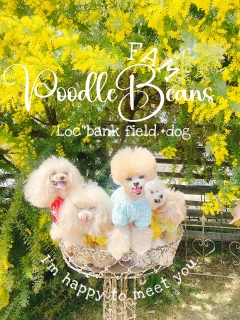 �j�R����񒣂�؂��Ă�H