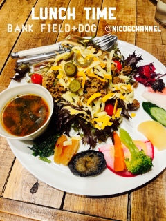 bank field+dog�����`