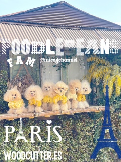 �C�G���[�ő����Ă܂�