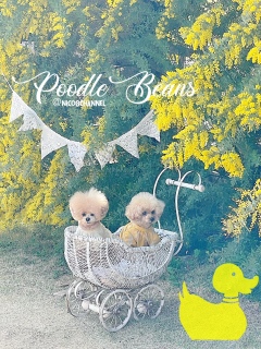 �Ȃ񂩐F���ςȂ̂͌���Ƃ��Ă�