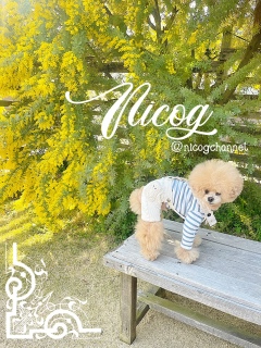 �R��������ˁ[�����Ă��̂ɍŌ�ɂȂ��Ă��܂����c