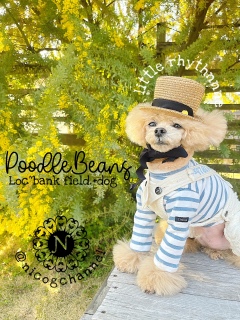 ���[��[�R�[�f�ŖX�q���킹���������̂ł����c