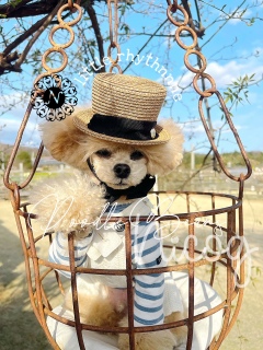 �܂������J�S�Ƀ`�������W