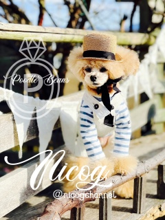 �����Ƃ肷�邭�炢�ł��c