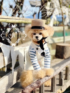 �}�C����