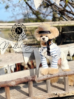 �������Ă��߂����Ⴉ�킢�����B