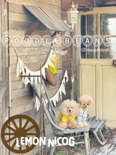 �����j�R