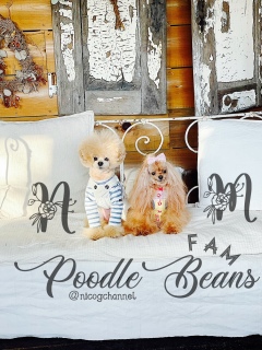 �����Ȃ��P�l�݂������