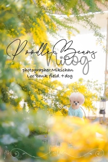 �݂�����񂩂璸�����ʐ^�ł��[