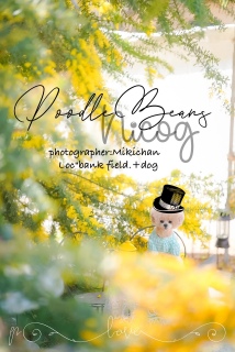 ��������݂�����񂩂�ł�