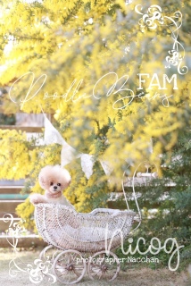 ��������Ȃ������搶