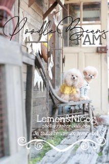 ������������[�Ȃ�������