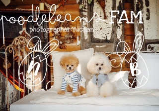 �j�R�{���ٕ�Z��