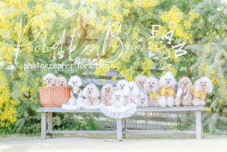 �ŋߒm�������t�h���[�~�[�Ȏʐ^