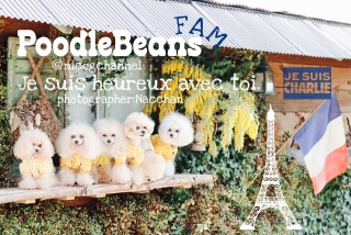 �Ȃ������̓t�����X�����܂ł�������Ă�I