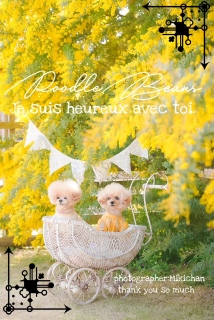 ���Ă����ƃj�R�W